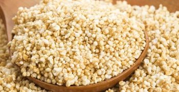Beneficios Del Amaranto Que Te Ayudaran A Mejorar Tu Salud