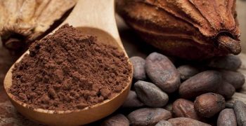Beneficios Del Cacao. Un Potente Súper Alimento Crudo