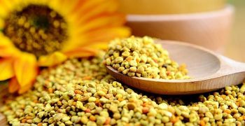 Beneficios del polen de abeja