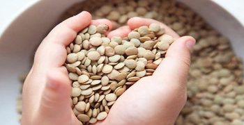 las lentejas para la salud