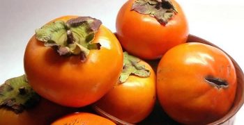 los beneficios de los caquis