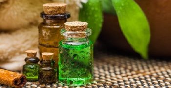 Los usos y beneficios del aceite del árbol del té