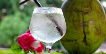 beneficios del agua de coco