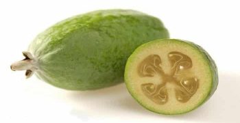 conociendo más sobre la feijoa