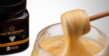 Los Beneficios De La Miel De Manuka
