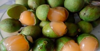 los mejores beneficios de las quenepas