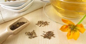 los mejores beneficios del té de hinojo