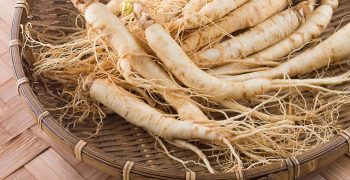 Beneficios del ginseng para la salud