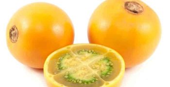 Beneficios Lulo Para La Salud Y Valor Nutricional de la Fruta Naranjilla