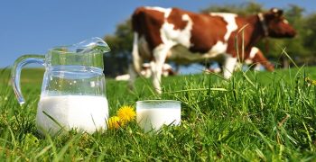 beneficios de la leche de vaca