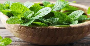 beneficios de las hojas de menta