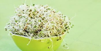 beneficios de los brotes
