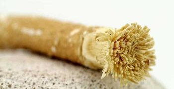 los beneficios del miswak