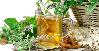 algunos beneficios del té de salvia