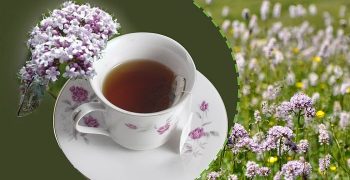la valeriana