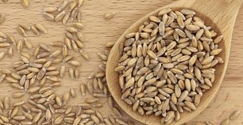 beneficios de la espelta