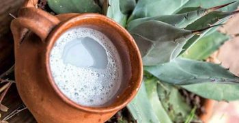el pulque