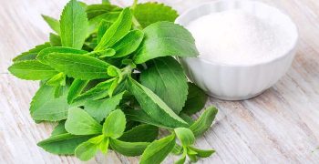 la stevia