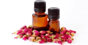 beneficios del aceite de rosa mosqueta