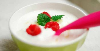 el yogurt