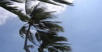 el viento
