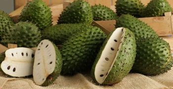 graviola