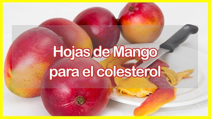 El mango reduce el colesterol