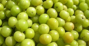 amla