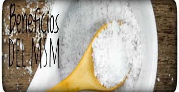 beneficios del msm