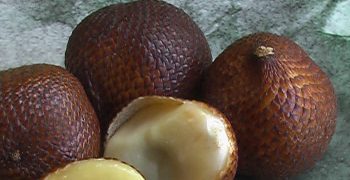 fruta de serpiente