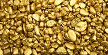 el oro