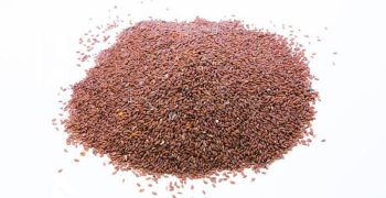 semillas de berro de jardín