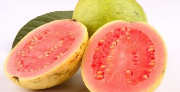 las semillas de guayaba