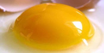 la yema de huevo