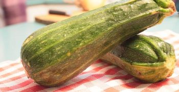 el zapallo italiano