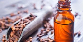 el aceite de clavo