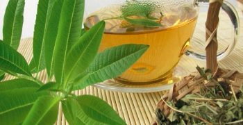 beneficios de la verbena de limón