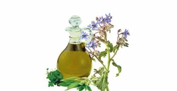 beneficios del aceite de borreja
