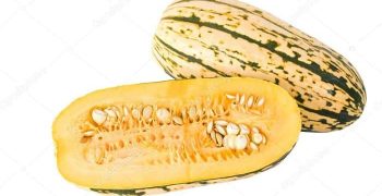 la calabaza delicata