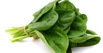 espinaca
