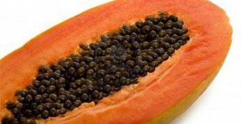 semilla de papaya