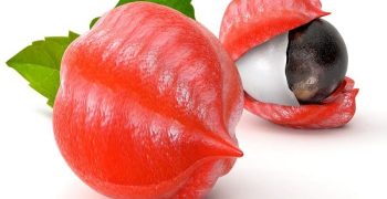 beneficios de la guaraná