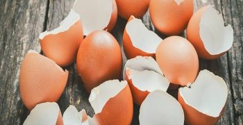 beneficios de las cáscaras de huevo