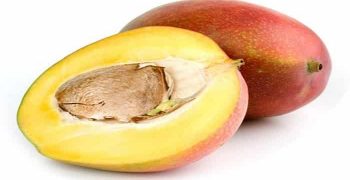 beneficios de las semillas de mango