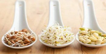 germinados de frijol