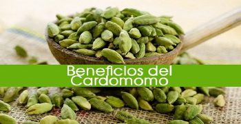 beneficios del cardamomo