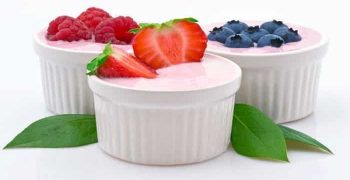 yogur probiótico
