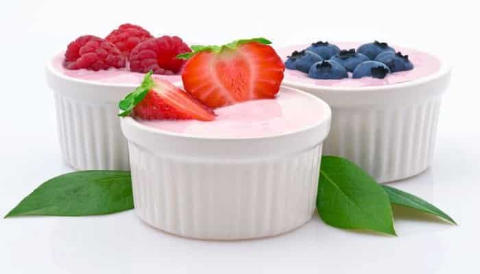 yogur probiótico