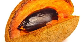 zapote de mamey