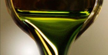 el aceite de algas